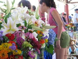 Flower and plant shopping