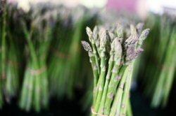 Fresh asparagus